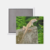 Camouflage Master マグネット (正面/裏面)