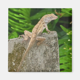 Camouflage Master マグネット