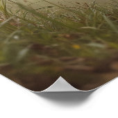 Camouflage, Tennis Ball, And Tactical Paws ポスター (角)