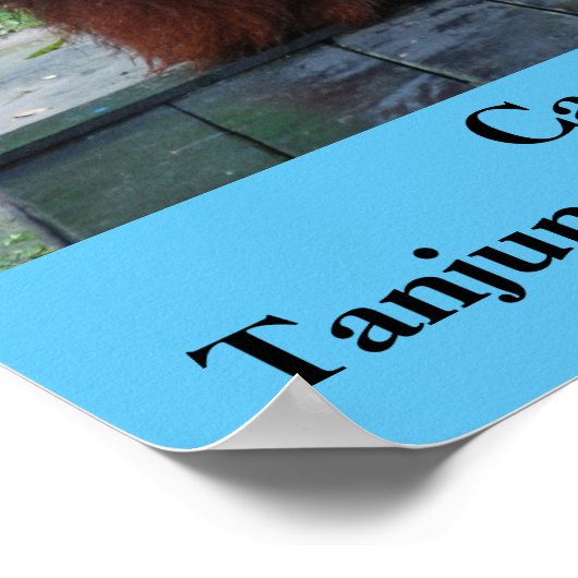 Camp Leakey Tanjung Putting National Park Borneo ポスター (角)