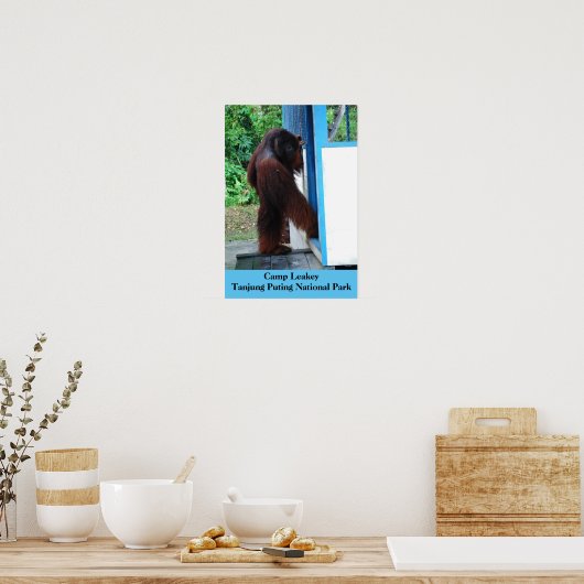 Camp Leakey Tanjung Putting National Park Borneo ポスター (キッチン)