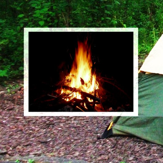 Campfire Burning at Night Postcard ポストカード