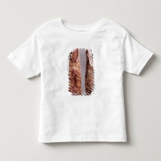 Campigny、6000-2000からの用具紀元前に トドラーTシャツ (正面)