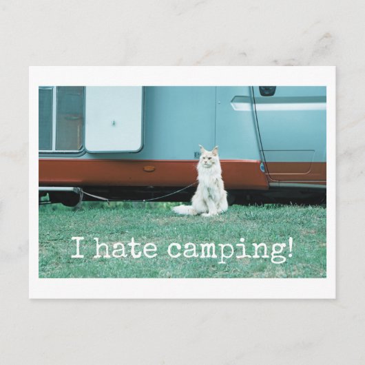 Camping Cat ポストカード (正面)