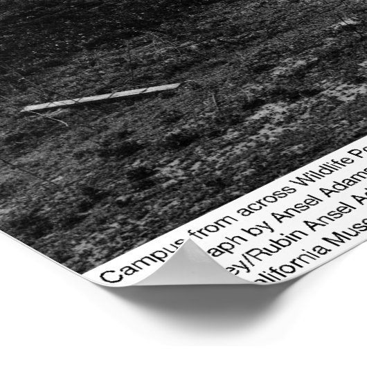 Campus from across Wildlife Pool, Irvine, 1967 ポスター (角)