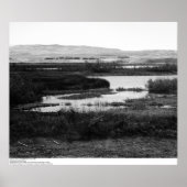 Campus from across Wildlife Pool, Irvine, 1967 ポスター (正面)