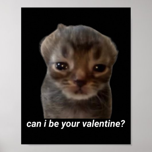 Can I Be Your Valentine Funny Cat Meme Brainrot Ge ポスター (正面)