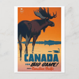 Canada big game ポストカード
