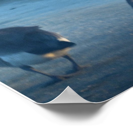 Canada Geese at the Refugeing Poster ポスター (角)