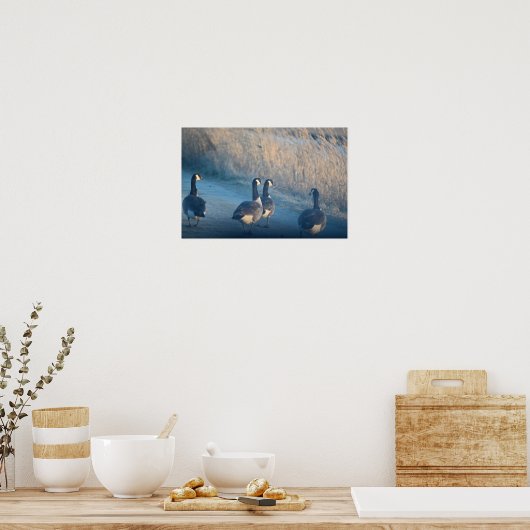 Canada Geese at the Refugeing Poster ポスター (キッチン)