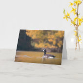 Canada Gooseの自然写真 カード (黄色い花)