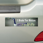 Canada Goose Babies I Brake For Nature  バンパーステッカー (車上)