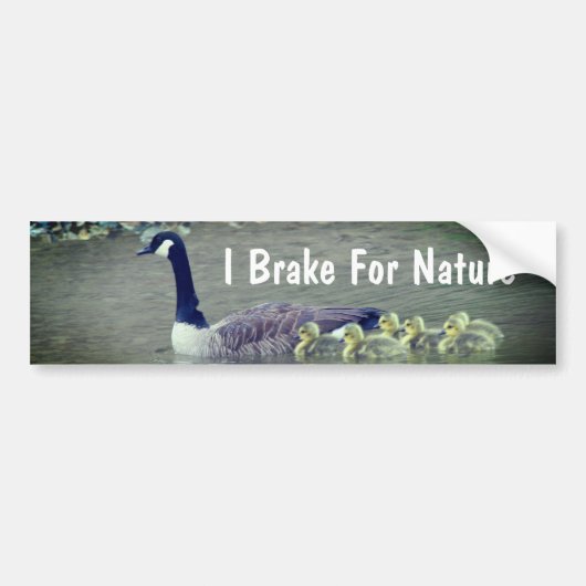 Canada Goose Babies I Brake For Nature  バンパーステッカー (正面)