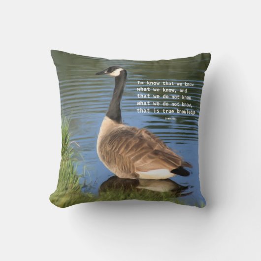 Canada Goose Confucius Knowledge Quote  クッション (正面)