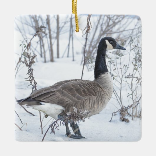 Canada Goose in Snow Ornament セラミックオーナメント (正面)