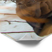 Canada Goose in Snow Poster ポスター (角)