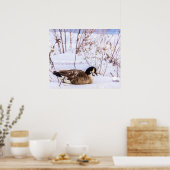 Canada Goose in Snow Poster ポスター (キッチン)