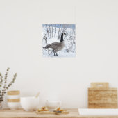 Canada Goose in Snow Poster ポスター (キッチン)
