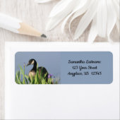 Canada Goose Irisesアニマルアートアドレス ラベル (インサイチュ)