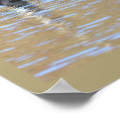 Canada Goose Poster ポスター (角)