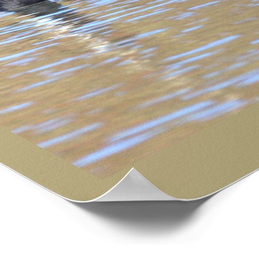 Canada Goose Poster ポスター (角)