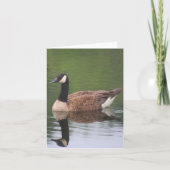 Canada Goose Reflections Nature Note カード (正面)