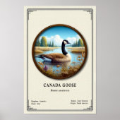 Canada Goose Zoology Series Poster ポスター (正面)