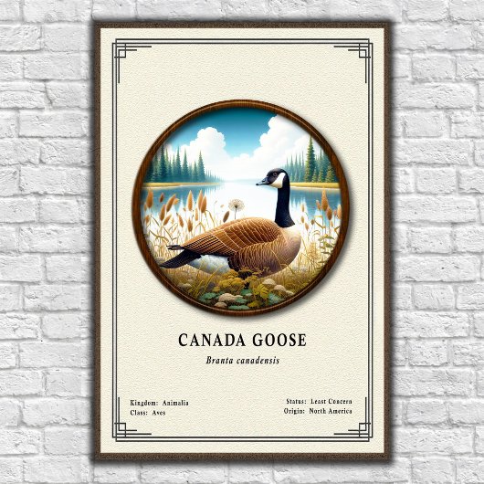 Canada Goose Zoology Series Poster ポスター