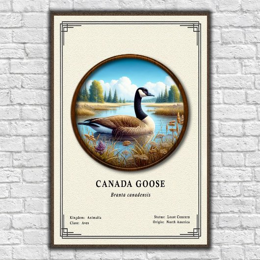 Canada Goose Zoology Series Poster ポスター