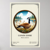 Canada Goose Zoology Series Poster ポスター (正面)