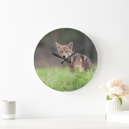 Canadian Coyote、動物写真 ラージ壁時計
