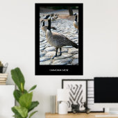 Canadian Geese Near The Lake Poster,Print ポスター (ホームオフィス)