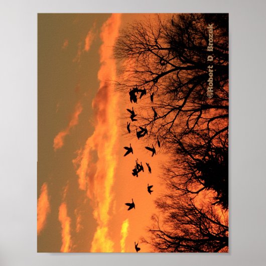 Canadian Geese Sunset Silhouette  Wood Poster. Woo ポスター (正面)