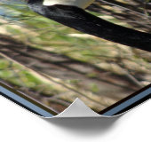 Canadian Gooseのポスターとは ポスター (角)