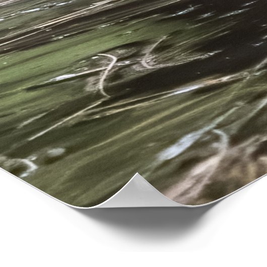 Canadian Goose in Serene ポスター (角)