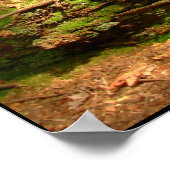 Canadian Landscape West Coast Forest Art Print ポスター (角)