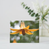 Canadian Lily Flower Photography Personalized ポストカード (スタンド正面)