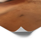 Canadian Lynx ポスター (角)