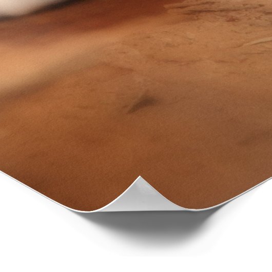 Canadian Lynx ポスター (角)