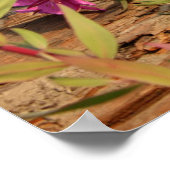 Canadian Lynx Kittens, Alaska ポスター (角)