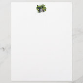 CANALSアドバイスカード (正面)