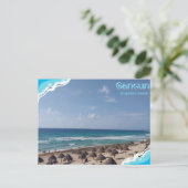 Cancun-Dolphin´s Beach ポストカード (スタンド正面)