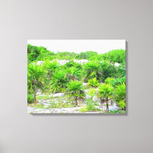 CANCUN, MEXICO #14 CANVAS PRINT キャンバスプリント (正面)