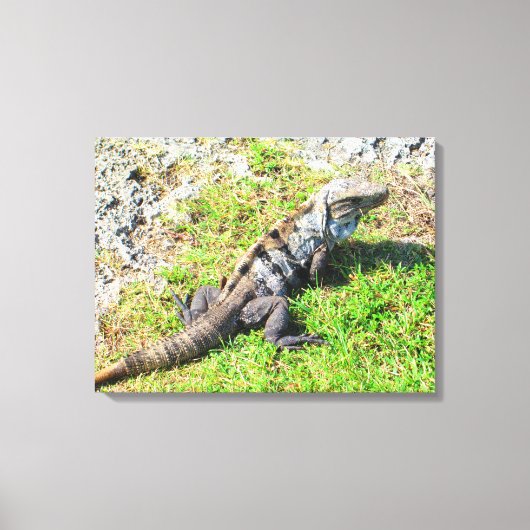 CANCUN, MEXICO #16 CANVAS PRINT キャンバスプリント (正面)
