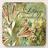 Candidum Lillium コースター (正面)