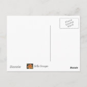 CANDY – はがき (裏面)