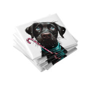 Candy Cane Black Dog Christmas Magnet マグネット