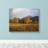 Candy Colors of Rocky Mountain National Park キャンバスプリント (インサイチュ (ウッドフロア))