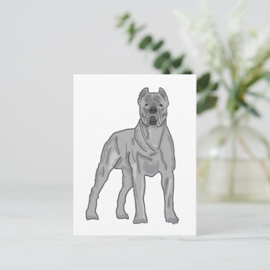 Cane Corso ポストカード (スタンド正面)