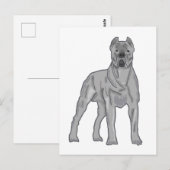 Cane Corso ポストカード (正面/裏面)